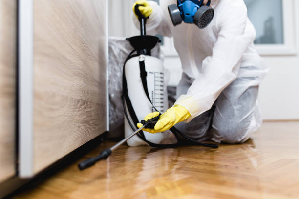 Best Termite Control Services  in Altoona, WI