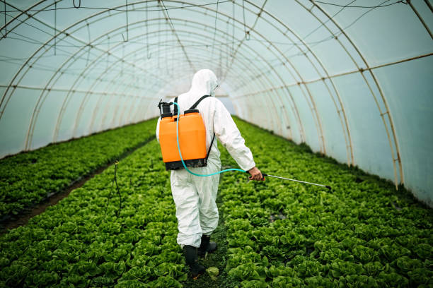 Best Pest Removal Services  in Altoona, WI